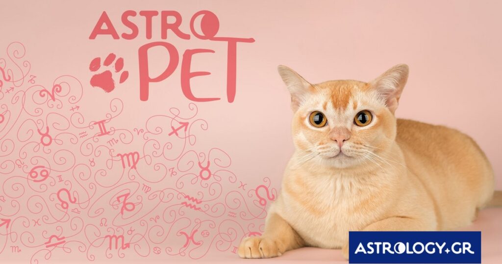 AstroPet από 23/06 έως 29/06: Εβδομαδιαίες προβλέψεις για το κατοικίδιό σου