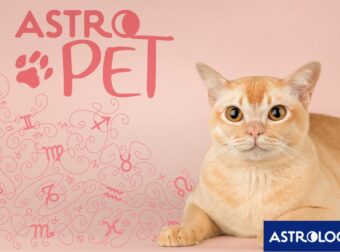 AstroPet από 23/06 έως 29/06: Εβδομαδιαίες προβλέψεις για το κατοικίδιό σου