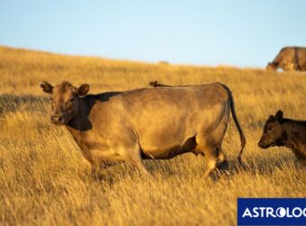 Διάβασε την προσωπική σου πρόβλεψη, για σήμερα 14/06/2026