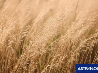 Διάβασε την προσωπική σου πρόβλεψη, για σήμερα 11/06/2026