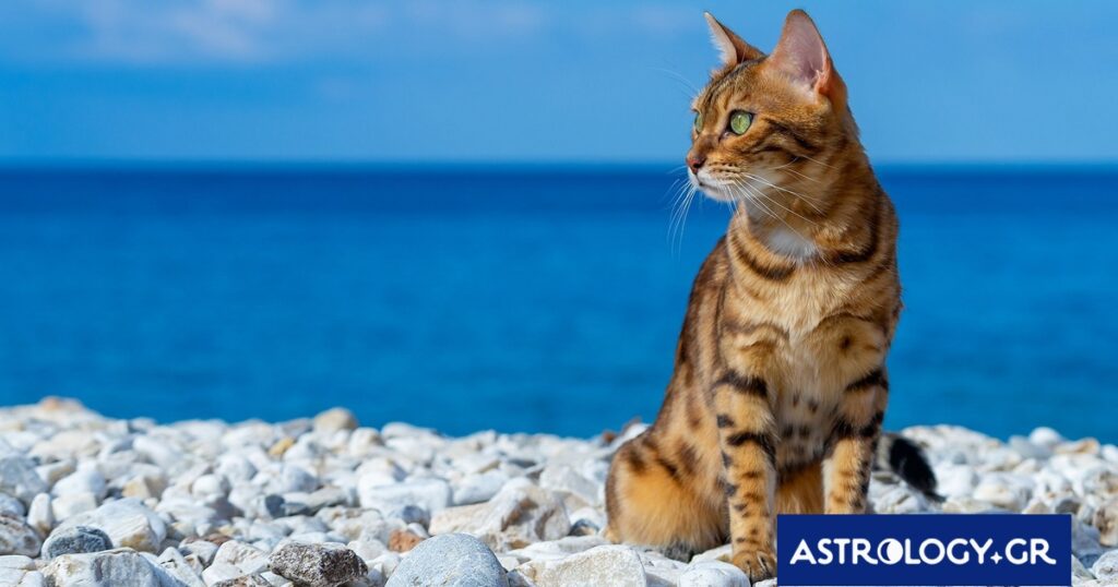 Διάβασε την προσωπική σου πρόβλεψη, για σήμερα 04/07/2026