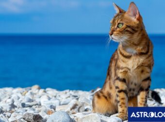 Διάβασε την προσωπική σου πρόβλεψη, για σήμερα 04/07/2026
