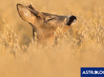 Διάβασε την προσωπική σου πρόβλεψη, για σήμερα 14/07/2026