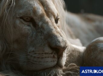 Ο Δίας μπαίνει στον Λέοντα: Όταν το φως σε ψάχνει, μην κρύβεσαι στη σκιά!