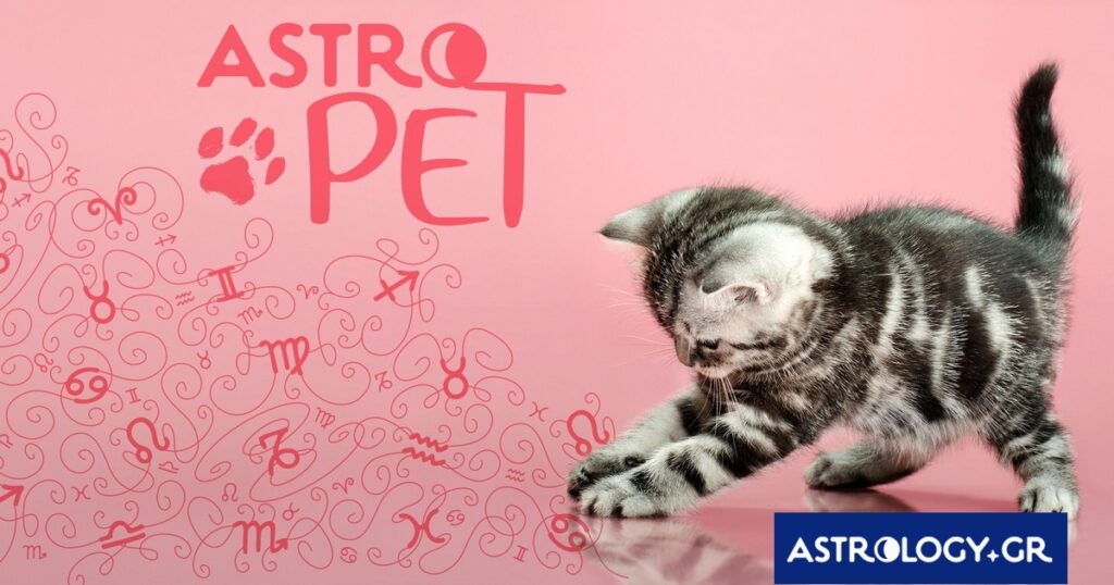 AstroPet από 07/07 έως 13/07: Εβδομαδιαίες προβλέψεις για το κατοικίδιό σου