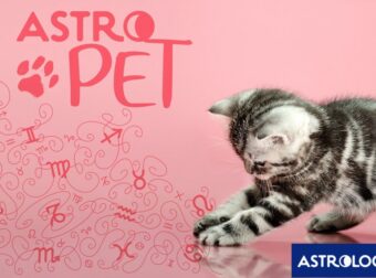 AstroPet από 07/07 έως 13/07: Εβδομαδιαίες προβλέψεις για το κατοικίδιό σου