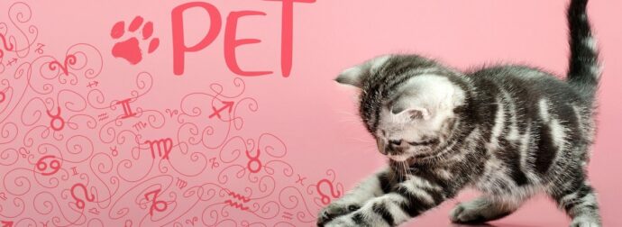 AstroPet από 07/07 έως 13/07: Εβδομαδιαίες προβλέψεις για το κατοικίδιό σου