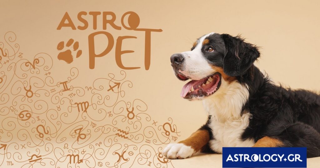 AstroPet από 14/07 έως 20/07: Εβδομαδιαίες προβλέψεις για το κατοικίδιό σου