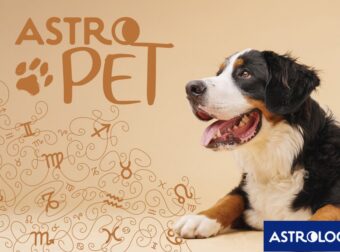 AstroPet από 14/07 έως 20/07: Εβδομαδιαίες προβλέψεις για το κατοικίδιό σου