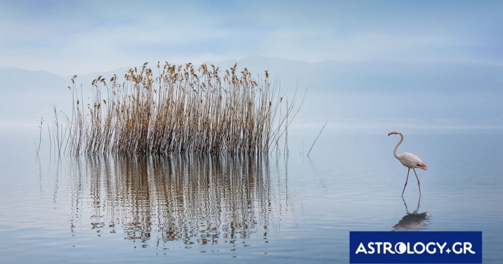 Διάβασε την προσωπική σου πρόβλεψη, για σήμερα 06/07/2026