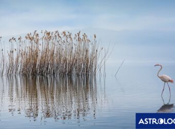 Διάβασε την προσωπική σου πρόβλεψη, για σήμερα 06/07/2026